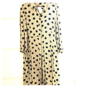 Collared, polka dot button down dress